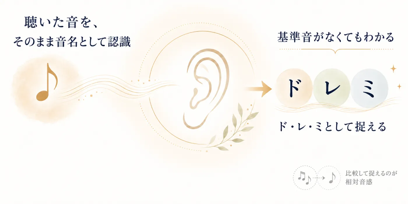絶対音感ステップメソッド®の進め方